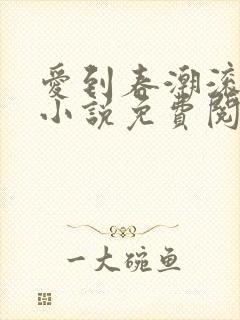 爱到春潮滚滚来小说免费阅读