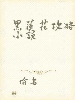 黑莲花攻略手册小说