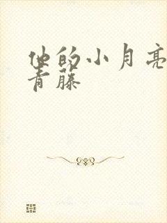 他的小月亮by青藤