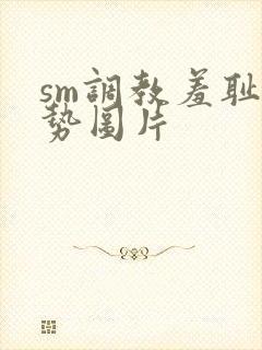 sm调教羞耻姿势图片