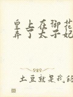 皇上在御花园c弄了太子妃