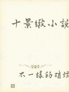 十景缎小说