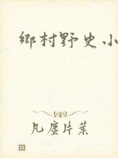 乡村野史小说