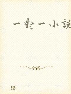 一对一小说