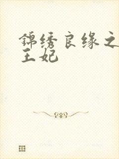 锦绣良缘之北地王妃