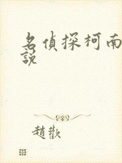 名侦探柯南h小说封面