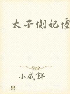 太子侧妃傻乎乎