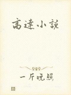 高达小说封面