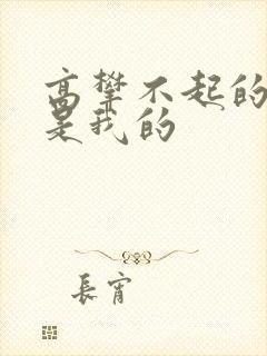 高攀不起的大佬是我的