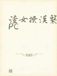 渣女撩汉系统NPC