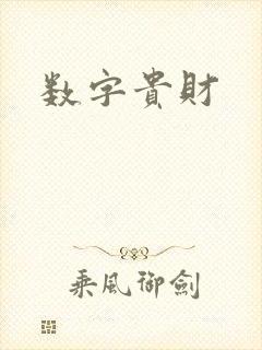数字贵财