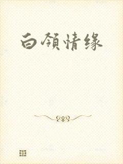 白领情缘