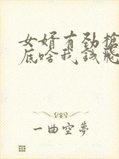 女婿有劲枪枪到底啥我钱飞了封面