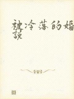 被冷落的婚姻小说