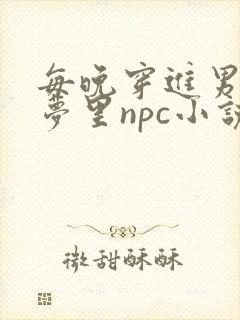 每晚穿进男神的梦里npc小说