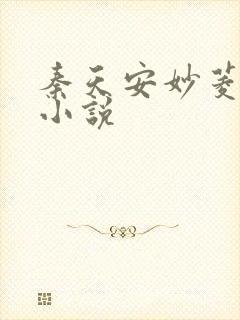 秦天安妙菱修仙小说