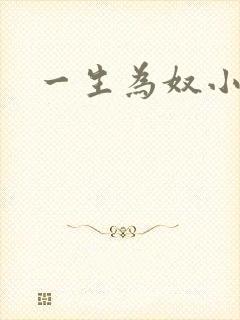 一生为奴小说