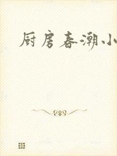 厨房春潮小说