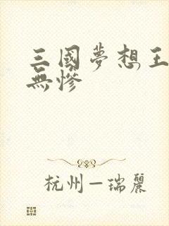 三国梦想王元姬无惨