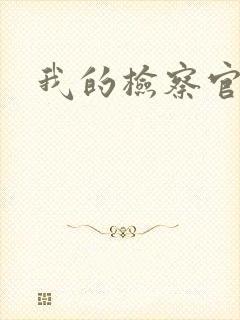 我的检察官先生