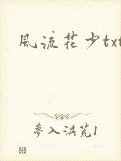 风流花少txt
