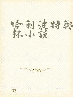 哈利波特与火焰杯小说