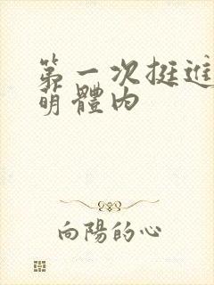 第一次挺进苏雨萌体内封面