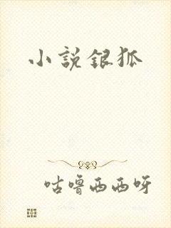 小说银狐封面