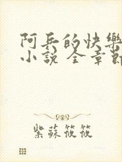 阿兵的快乐生活小说 全章节阅读免费封面