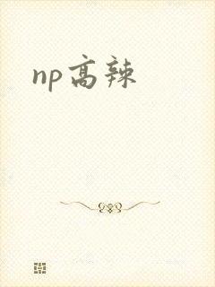 np高辣