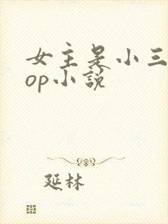 女主是小三的pop小说
