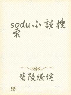 sodu小说搜索