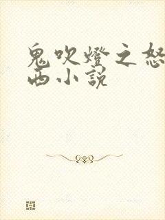 鬼吹灯之怒晴湘西小说