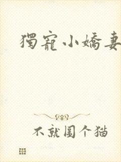 独宠小娇妻