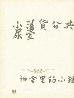 小荡货公共精厕尿壶