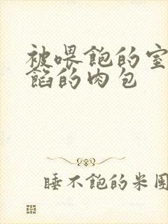 被喂饱的室友爆馅的肉包