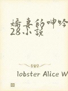 娇妻的呻吟1—28小说