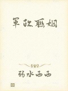 军政联姻