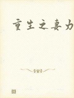 重生之妻力无穷