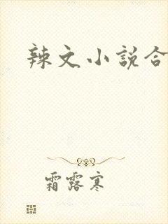 辣文小说合集