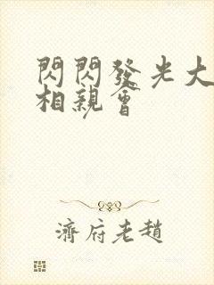 闪闪发光大团圆相亲会