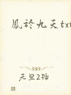凤于九天txt