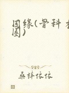 因缘(骨科 校园)