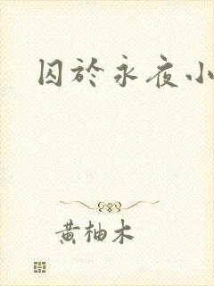 囚于永夜小说