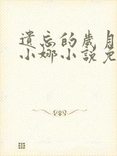 遗忘的岁月老林小娜小说免费阅读