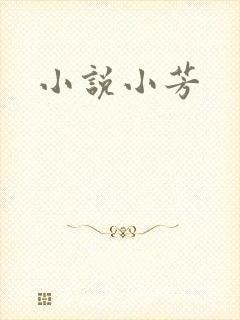 小说小芳