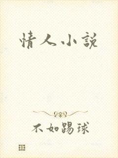 情人小说封面