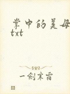掌中的美母版主txt
