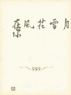 在风花雪月里等你