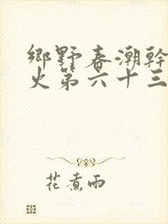 乡野春潮干柴烈火第六十三章